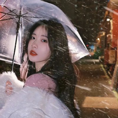 阿莱蒂公主